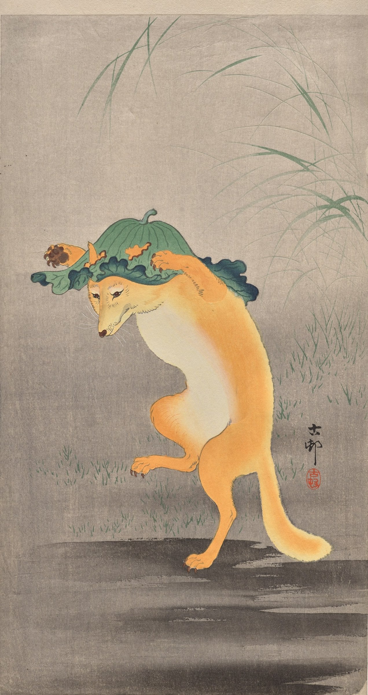 An orange fox stands on its hind legs wearing a green leaf on its head, in front of a soft grey sky and tall grasses.
