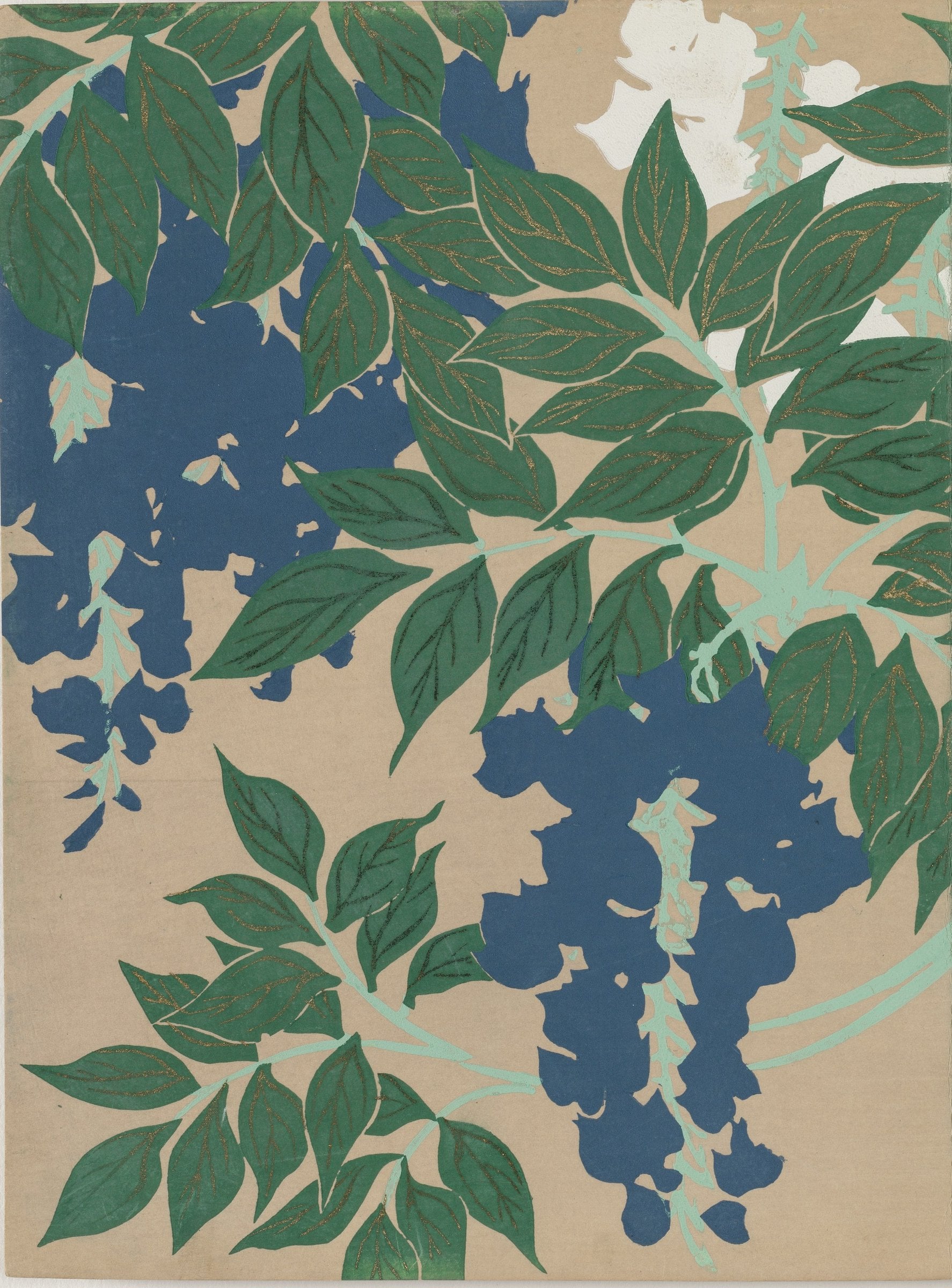 Hanging clusters of deep blue wisteria and layered green leaves on a warm sand-coloured ground.
