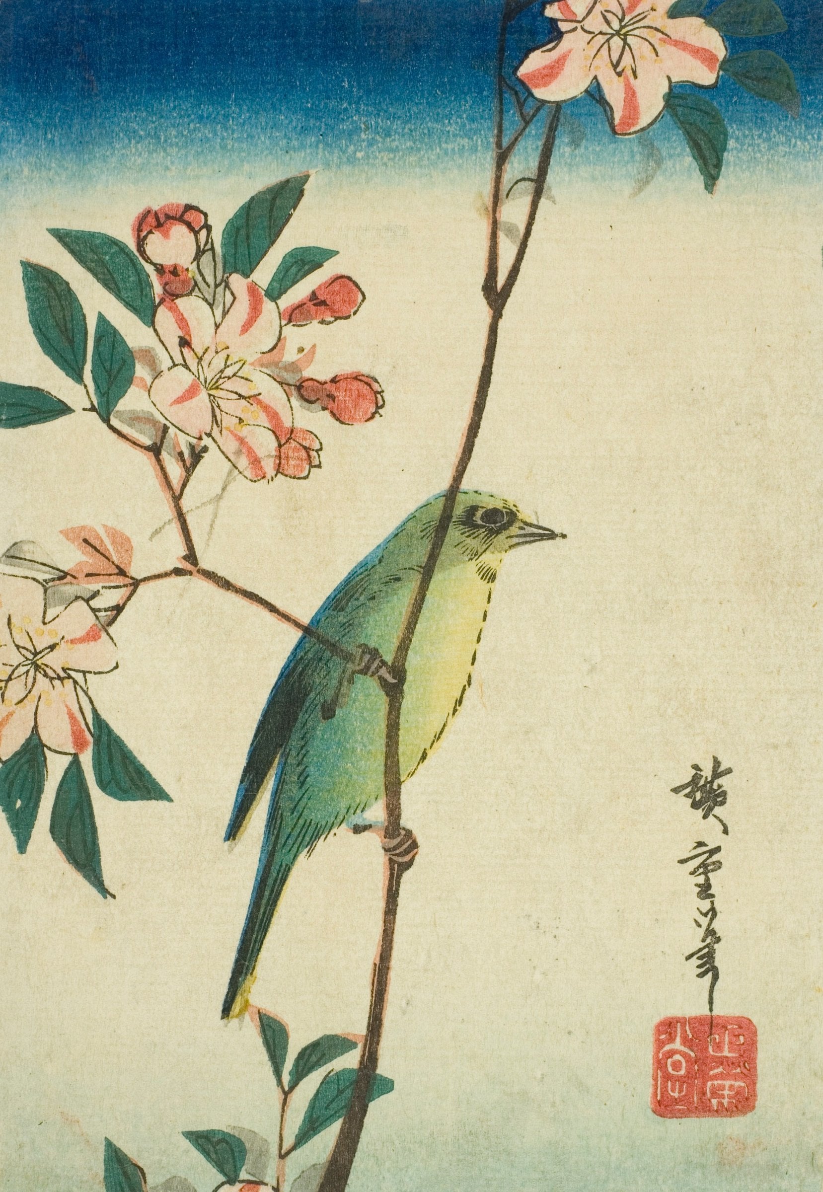 A small green bird perches on a thin branch of pink and white blossom beneath a band of deep blue sky.