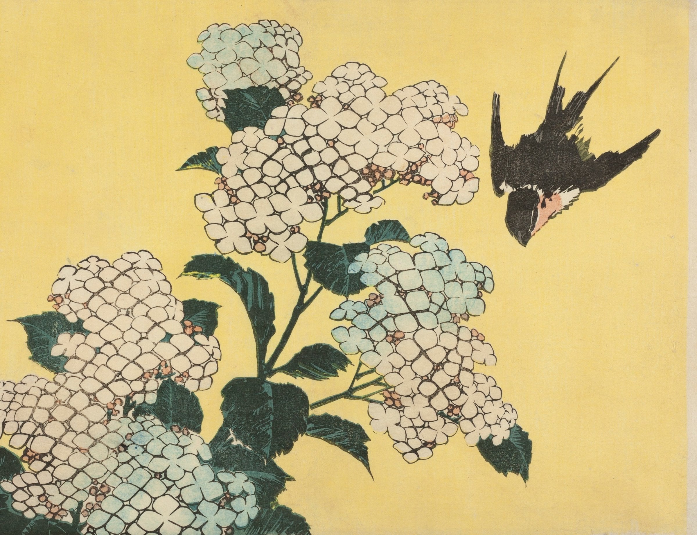 Clusters of pale hydrangea blooms and dark leaves on a lemon-yellow ground with a swallow diving in from the right.