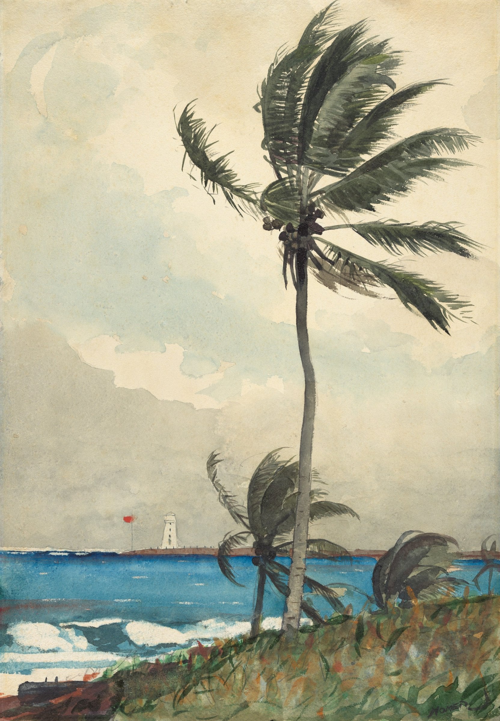 A tall palm leans in a strong wind above a grassy shore, with a white lighthouse and blue waves in the distance.