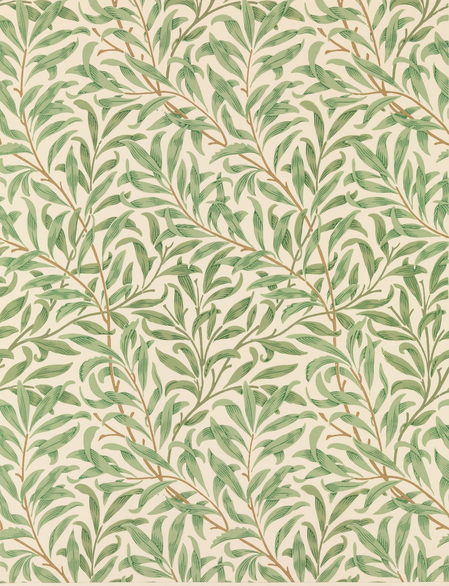A repeating pattern of slender sage-green willow leaves on interlacing stems over warm cream.